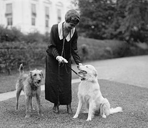 300px-Grace_Coolidge_with_dogs_crop